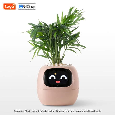 Smart Sensor Planter Smart Sensor Planter