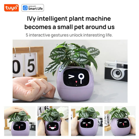 Smart Sensor Planter Smart Sensor Planter