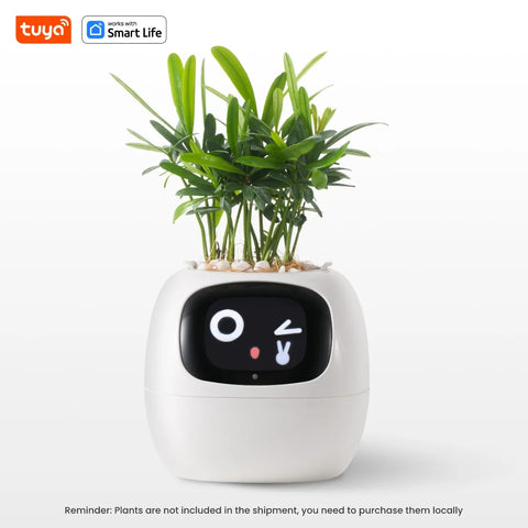 Smart Sensor Planter Smart Sensor Planter