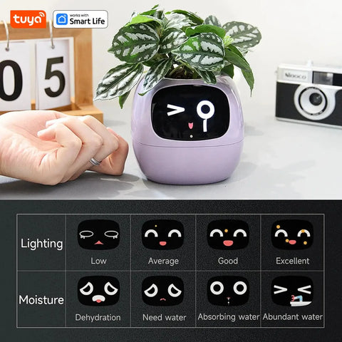 Smart Sensor Planter Smart Sensor Planter