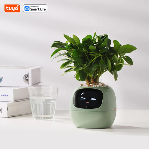 Smart Sensor Planter Smart Sensor Planter