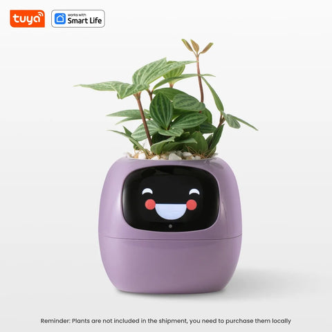 Smart Sensor Planter Smart Sensor Planter