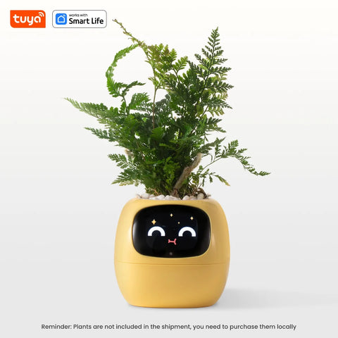 Smart Sensor Planter Smart Sensor Planter