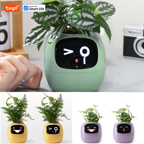 Smart Sensor Planter Smart Sensor Planter
