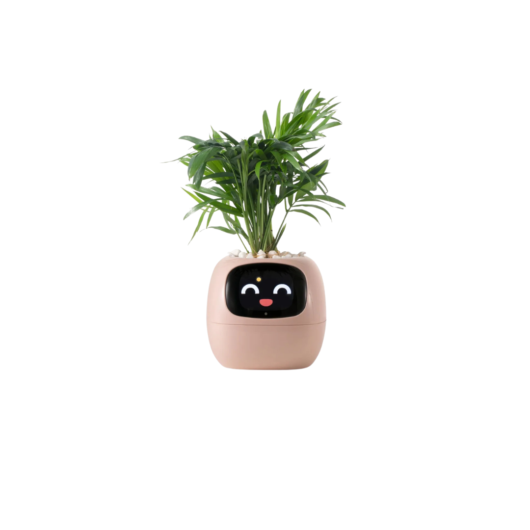 Smart Sensor Planter