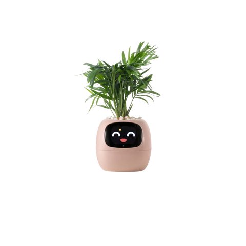 Smart Sensor Planter Smart Sensor Planter