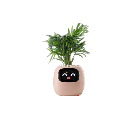 Smart Sensor Planter Smart Sensor Planter