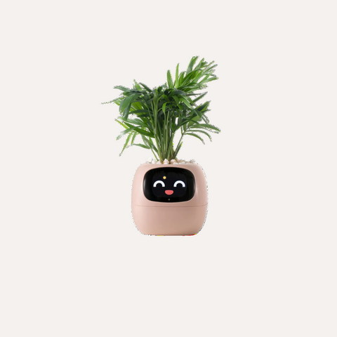 Smart Sensor Planter Smart Sensor Planter